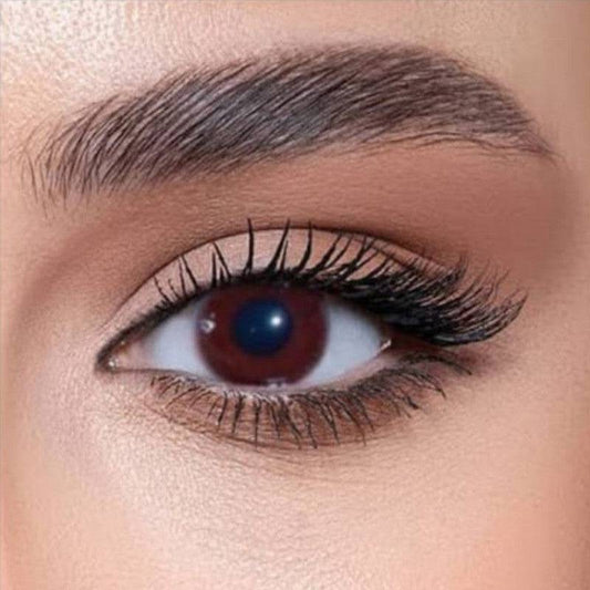 عدسة  دوللي  Z  023 - Ebuy.sa